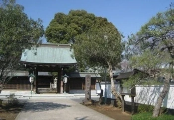 落ち着いた雰囲気の寺院墓地