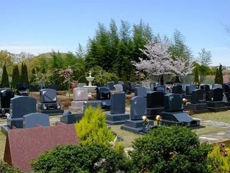 緑豊かで公園のような園内