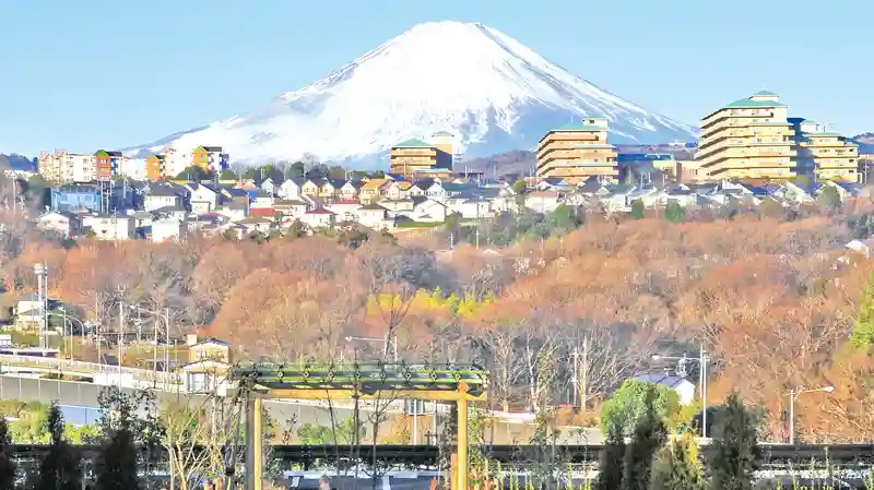 明るい雰囲気の霊園