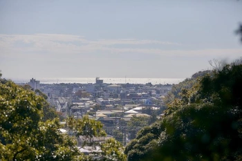 鎌倉の景色が一望できる