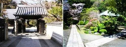 鎌倉市 泉谷山 浄光明寺