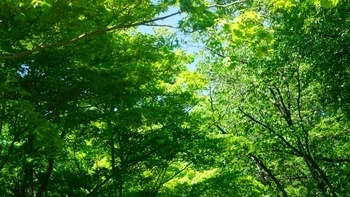 曹洞宗のお寺