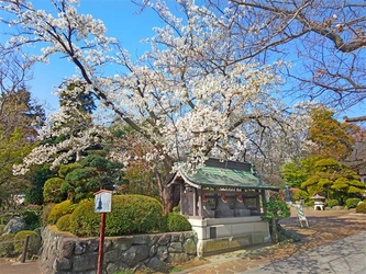 豊かな自然と落ち着いた雰囲気の寺院墓地