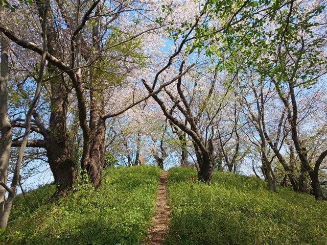 安楽寺 