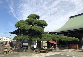 歴史のあるお寺