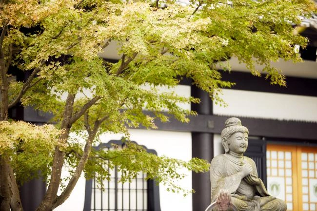 鎌倉市 長谷寺