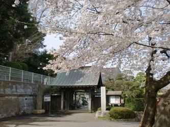 歴史ある菩提寺