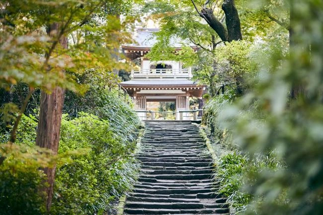 鎌倉市 臨済宗円覚寺派 浄智寺