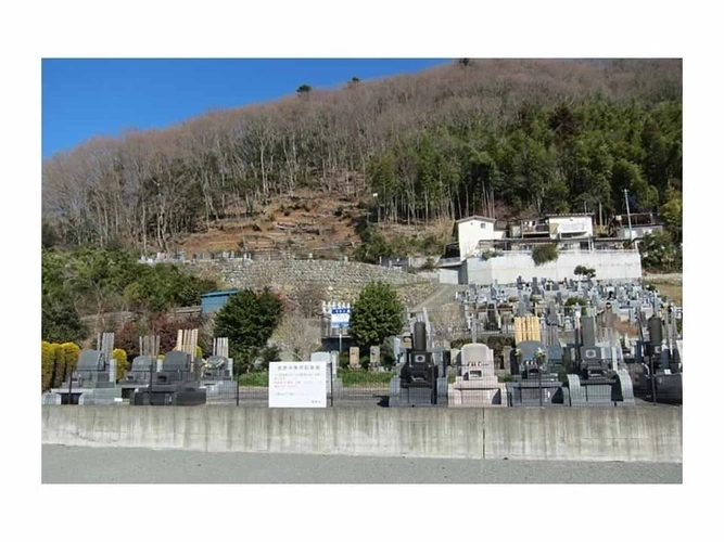 見富山 善勝寺 