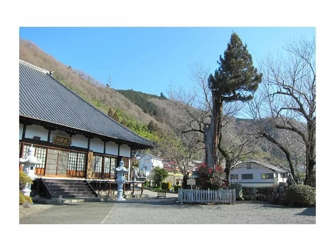 見富山 善勝寺 