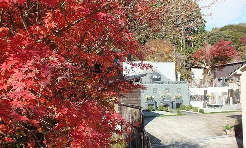 長興山 紹太寺 一般墓・永代供養墓 