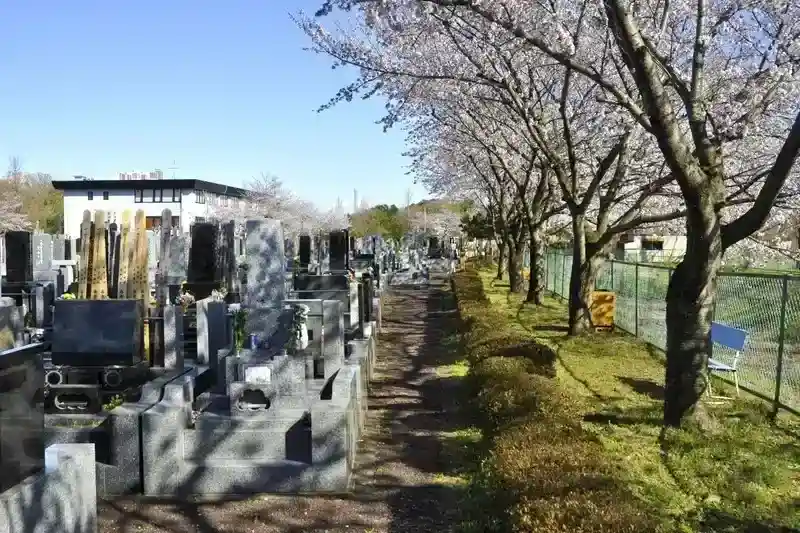 上尾霊園 桜並木