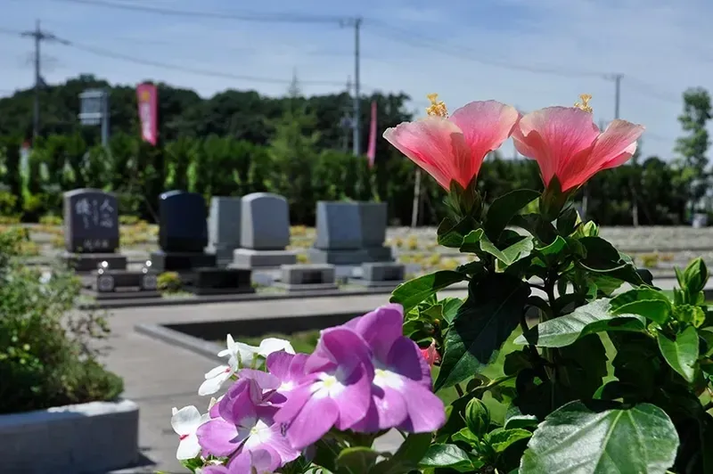 蓮田聖地霊園 美しい花々