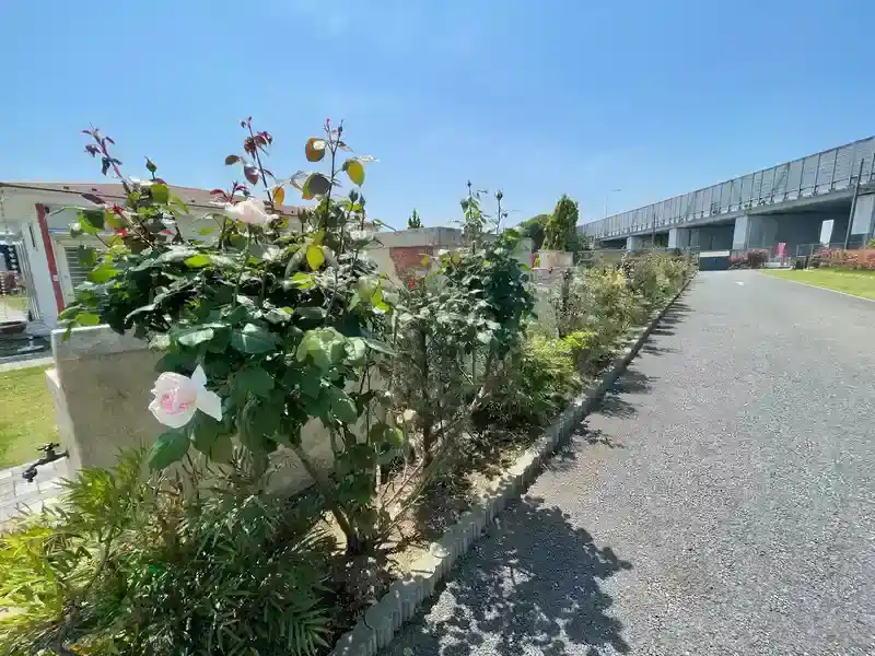 吉川霊園 園内の植栽