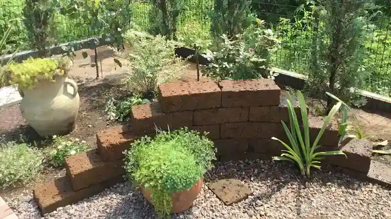 むさしの若葉園 綺麗に管理されている緑