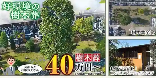 樹木葬
