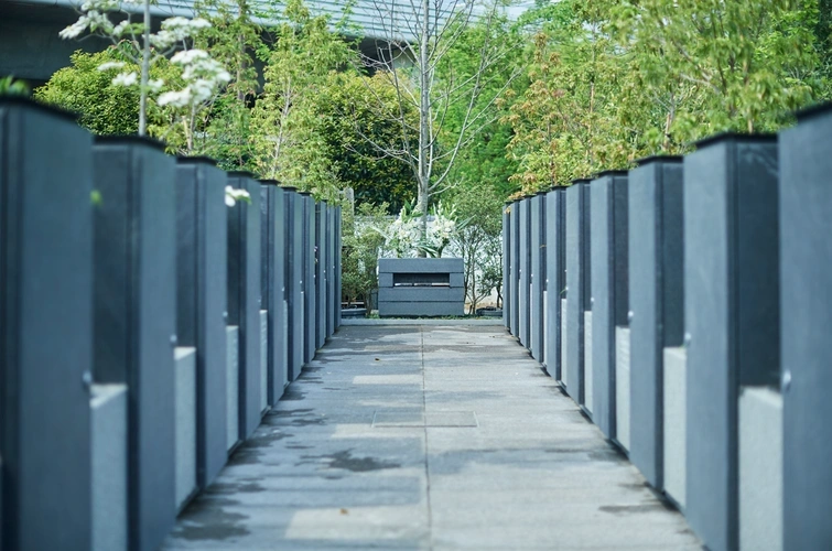 樹木葬①