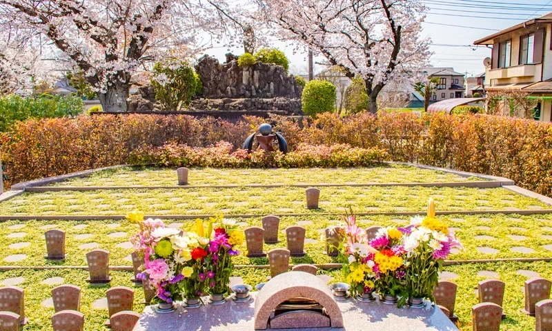 永代供養墓・樹木葬 メモリアルすぎと・用中寺 永代供養付樹木葬（自然葬墓地）