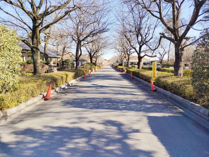 新所沢友愛聖地苑 樹木葬 ～愛逢～（めであい） バリアフリーの写真