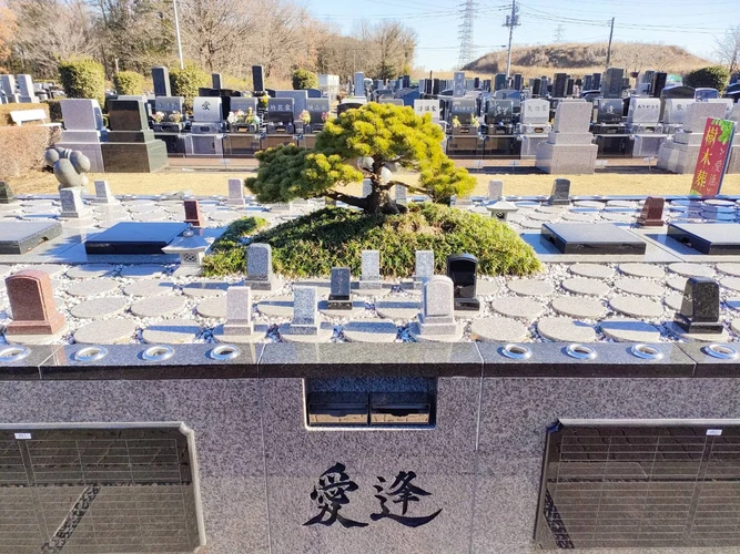 1区画（7年）の写真1