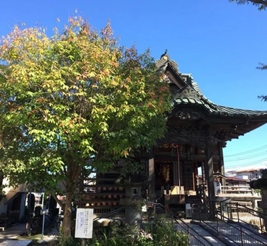 慈眼寺 樹木葬「お花畑の霊園」 