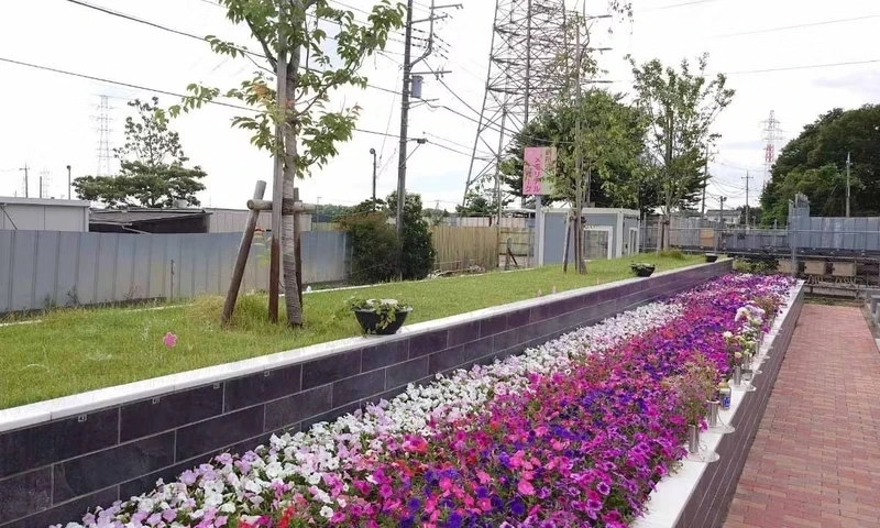 桜花葬