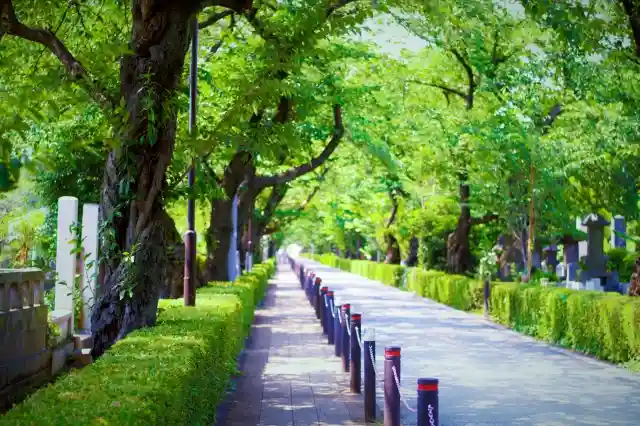 緑豊かで心落ち着く川越市の霊園
