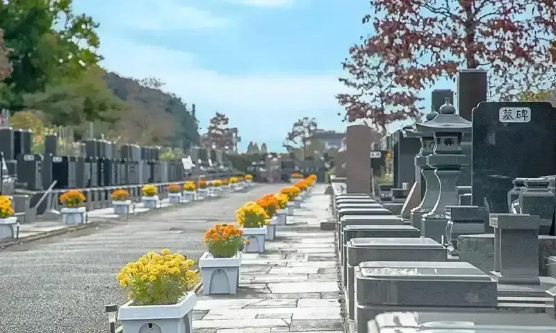 浦和霊園 四季の花々が彩る参道