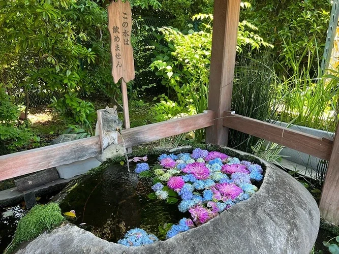 天然寺 のうこつぼの写真4