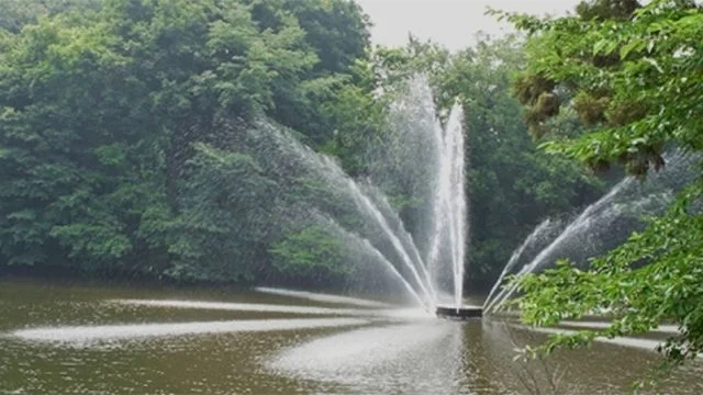 森林公園昭和浄苑 池と噴水