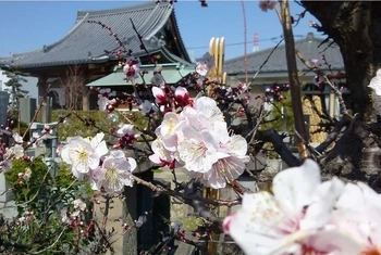 永く続く自然の中で大切な方を偲ぶ