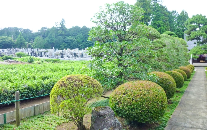 常円寺三宝墓苑 緑豊かな自然