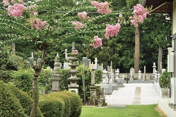 明るい雰囲気の墓地