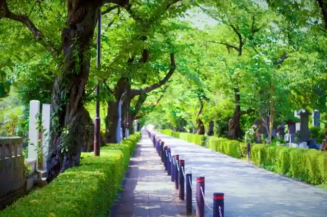 緑豊かな東明寺墓苑