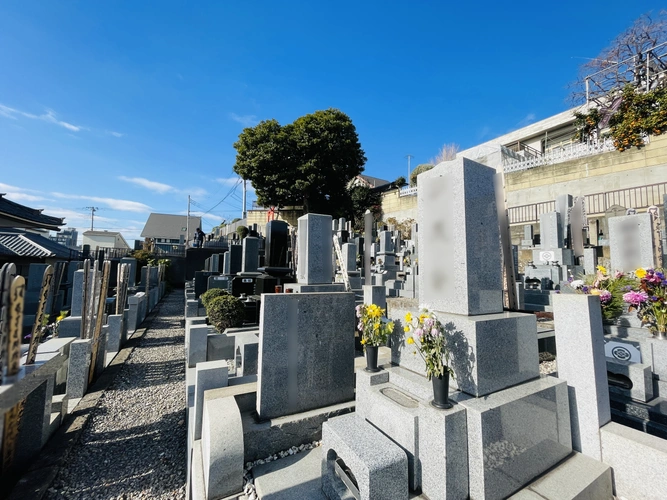 川口市 東養寺