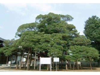 鎌倉時代から続く歴史深い馬蹄寺墓苑