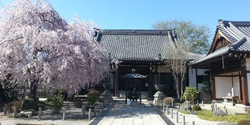 緑豊かで心落ち着く上尾市の寺院