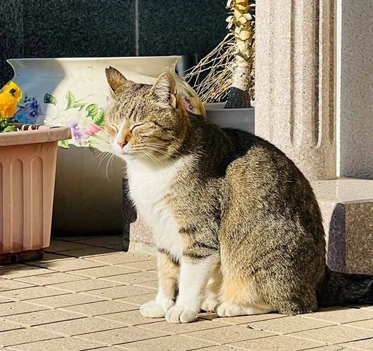 新座市 永代供養墓 安穏堂