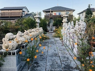 明るい雰囲気の寺院墓地