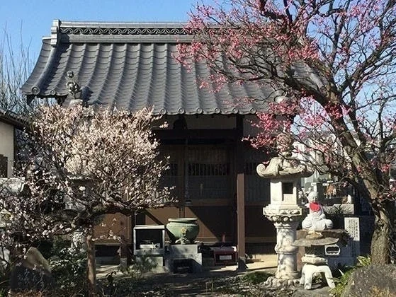 深谷市 宝性寺 のうこつぼ