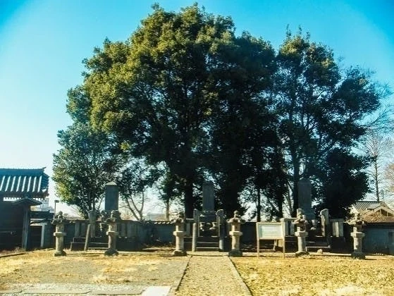 行田市 天祥寺