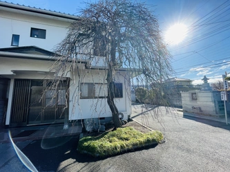 豊かな自然と落ち着いた雰囲気の霊園