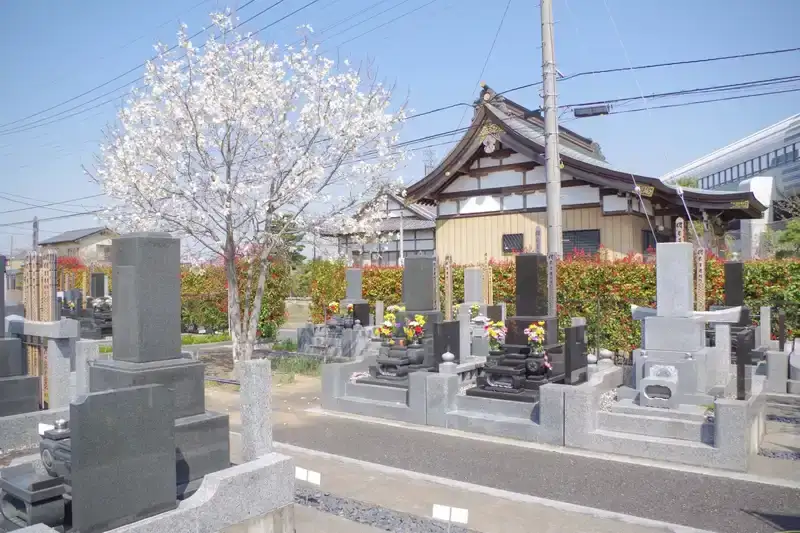 正円寺 緑に囲まれた墓域
