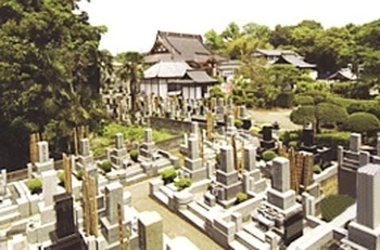 豊かな自然と落ち着いた雰囲気のお寺