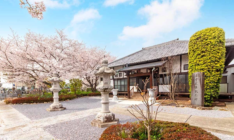 羽生市 浄林寺 永代供養墓・樹木葬