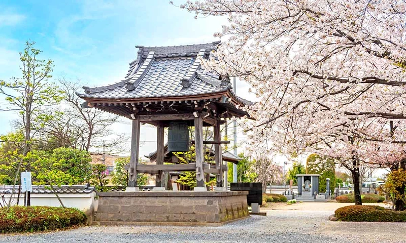 羽生市 浄林寺 永代供養墓・樹木葬