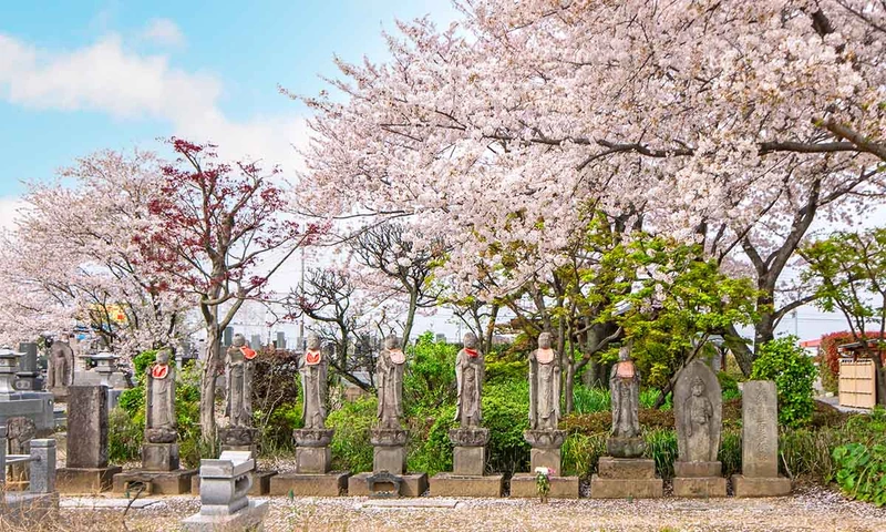 羽生市 浄林寺 永代供養墓・樹木葬