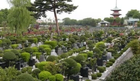 さいたま市西区 青葉園