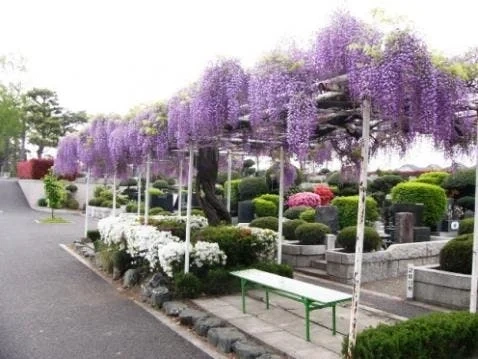 さいたま市西区 青葉園