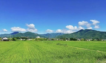 田園地帯の中心地にあるお寺